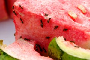 終活でのトラブル事例と対策にはどのようなものがある？
