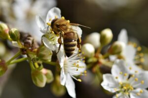 終活に役立つおすすめの情報収集方法は？