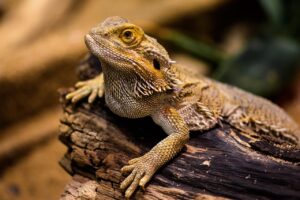 終活のメリットとデメリットを知るべき理由は？
