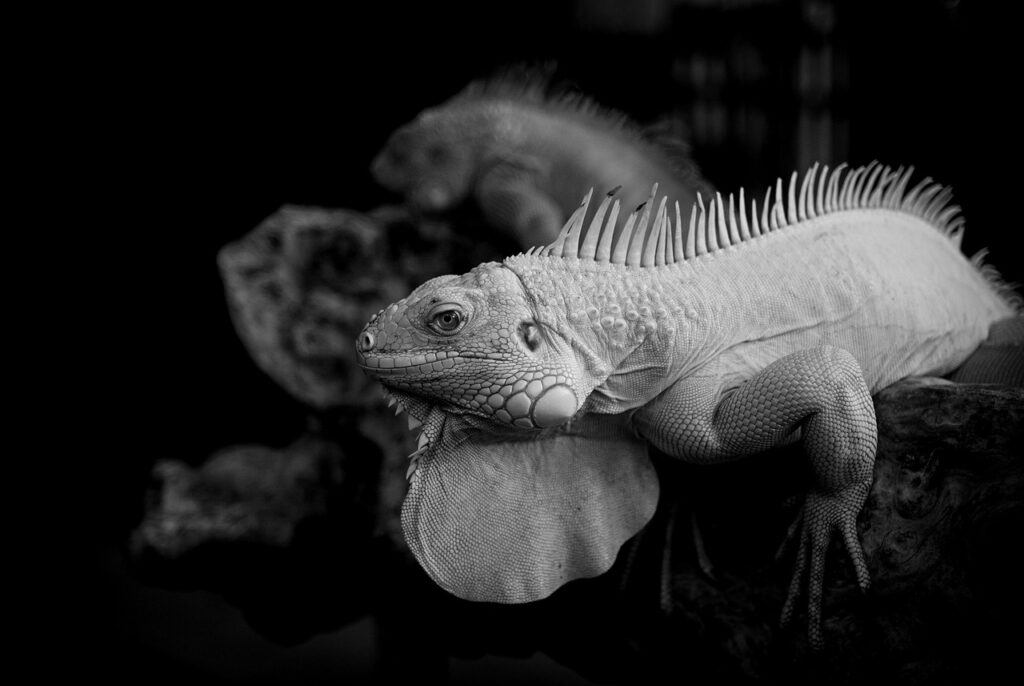 終活と生前贈与の違いとは何ですか？