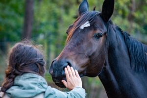 終活を考えるおひとりさまが抱える不安とは？