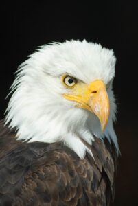 50代が遺言書を作成するのは何歳から必要？